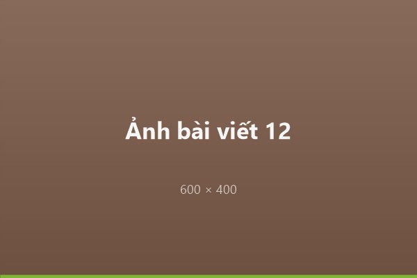 Lookbook Trí Ân Gift: hộp quà và túi vải thiết kế riêng