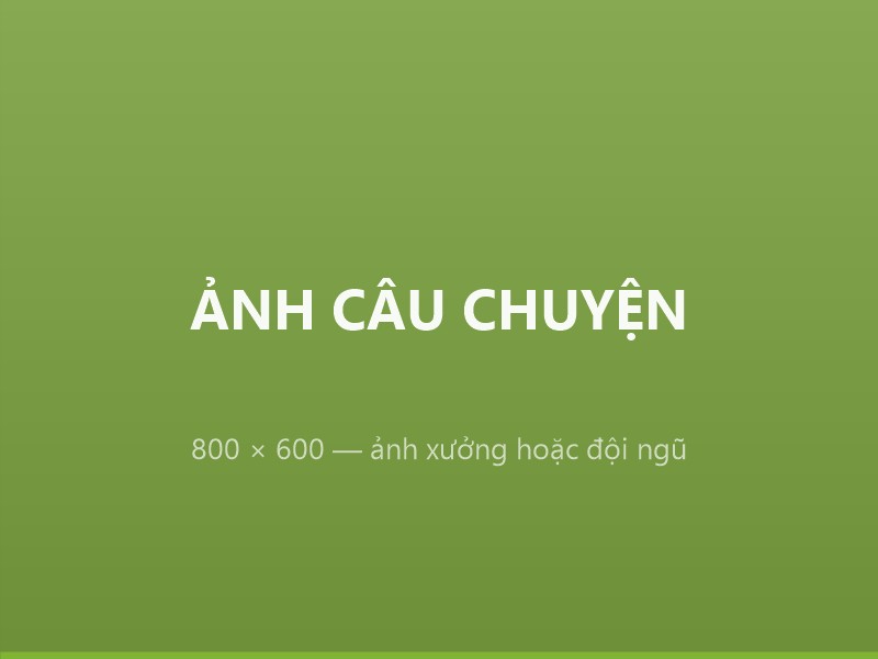 Câu chuyện Trí Ân Gift